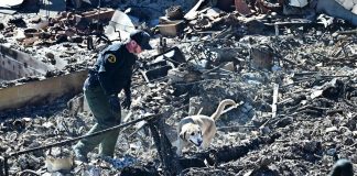 Incendi Los Angeles, 24 morti e emergenza continua