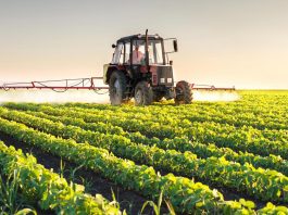 Caro-gasolio e rincari, Mantovani: “A rischio sopravvivenza imprese agricole, servono misure straordinarie”