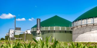 Giornata Mondiale della Terra, Confagricoltura: “Agricoltura essenziale per l’energia pulita”