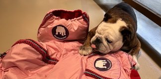 Mantova, a Pitti Immagine Uomo, il brand mantovano Bullophilosophy per Bulldog