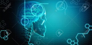 Così il cervello ci ‘comanda’ per bere e camminare, lo studio