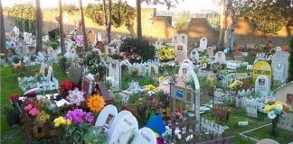 Addio a Luigi Molon, nel suo cimitero la gallina del Duce e il barboncino di Pertini