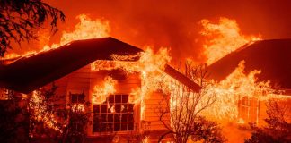 Los Angeles brucia, le star di Hollywood in fuga dall’incendio