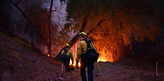 Los Angeles, incognita vento e sciacalli in azione. 16 morti negli incendi