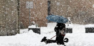 Gelo polare e neve a bassa quota, ecco i giorni più freddi dell’anno