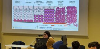 Il Lions Viadana Oglio Po illustra i corretti stili di vita agli studenti