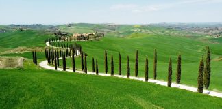 Elon Musk cerca casa in Toscana, due i castelli che hanno sedotto il miliardario