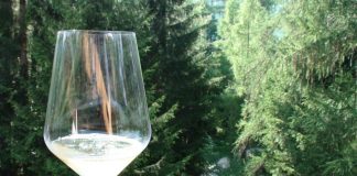 Codice della strada: bottiglie take away e più taxi, i Consorzi del vino in campo per un bere responsabile