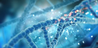 Mantova, immunodeficienze primitive, nasce un ambulatorio