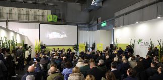 Vivaismo, Coldiretti Mantova: il Pnrr trascina la richiesta, ma mancano piante