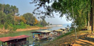 Vandali distruggono i casotti del Po nella golena tra Suzzara e Motteggiana