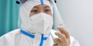Cina, scoperto nuovo coronavirus: si trasmette dai pipistrelli agli uomini