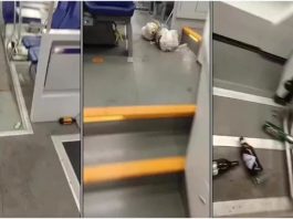 Treno Mantova-Modena, i tifosi: “Pigiati come sardine e con una sola toilette per mille persone”