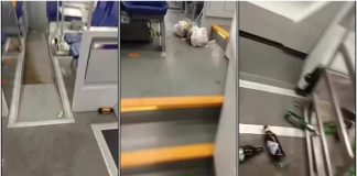 Treno Mantova-Modena, i tifosi: “Pigiati come sardine e con una sola toilette per mille persone”