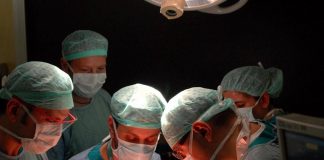 Trapianti, impiantato il fegato di una 99enne: la donatrice più anziana di sempre