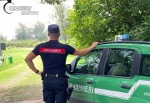 Borgocarbonara, discarica abusiva da 1000mq con rifiuti speciali: due denunciati