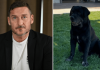 Francesco Totti, morto il cane di famiglia Diego: il dolore della figlia Chanel