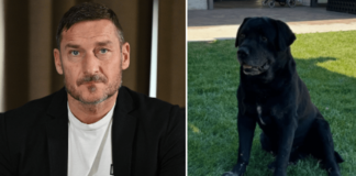 Francesco Totti, morto il cane di famiglia Diego: il dolore della figlia Chanel