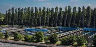 Ambiente, Cap Evolution e Parco Nord insieme per potenziare la rete di riuso di acqua depurata