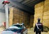 Tragedia a Casatico di Marcaria, a 27 anni muore in azienda schiacciato da una rotoballa