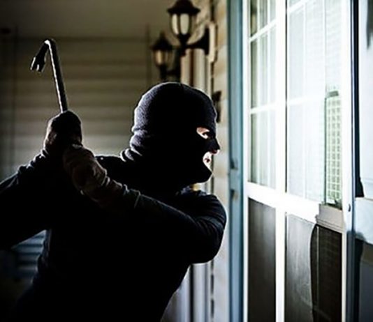 Ladri in azione nella sede di Vivere la Città e in un negozio vicino ladri, abitazioni