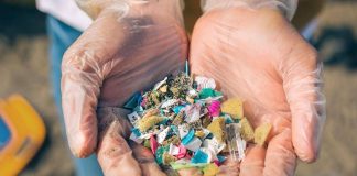 Salute, così le microplastiche minacciano la fertilità delle donne, lo studio