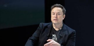TikTok, Musk: “Non sono interessato ad acquisto”