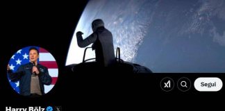 Musk cambia nome su X, ritorna ‘Harry Bōlz’