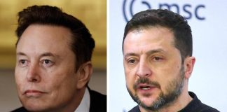 Ucraina, anche Musk attacca Zelensky: “Si nutre dei cadaveri dei suoi soldati”