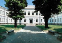 MuVi, numeri incoraggianti e in continua crescita: oltre 28mila utenti nel 2025