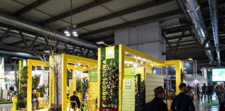 Salute, Coldiretti: “Con piante in case e scuole -20% di CO2”