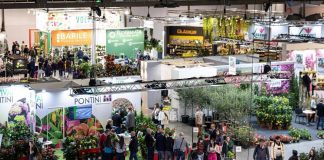 Piante e fiori made in Italy da record, nel 2024 toccati i 3,3 mld di euro