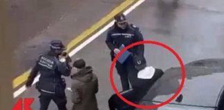 Pregiudicato, 37 anni: chi è l’uomo che ha investito i vigili a Parma