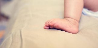 Neonata morta a Lucca, madre 21enne indagata per omicidio colposo