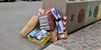 Mantova, ancora rifiuti abbandonati a fianco dei citybin in via Cavour