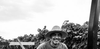 Dalla city di Londra a Viadana per produrre vino: la storia di Tiziano Bellini