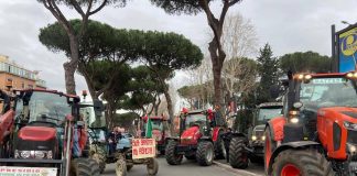 Protesta dei trattori torna a Roma: 23 mezzi nella Capitale