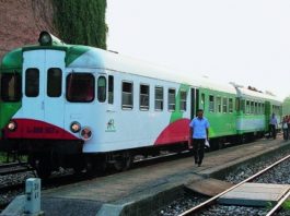 Camion abbatte le sbarre nel Reggiano: treni cancellati e disagi sulla Suzzara-Parma