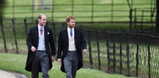 Harry e William si sono incontrati ai Caraibi? I media: “Lontani da occhi indiscreti”