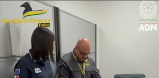 Sequestrati all’aeroporto Pertini di Torino 16 kg di cocaina