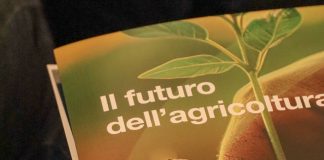 Il futuro dell’agricoltura passa dalla rigenerazione