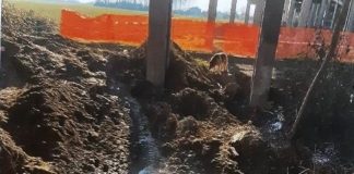 Ponte di Borgoforte: lavori causano danni a terreni agricoli, il proprietario chiede l’intervento della Provincia