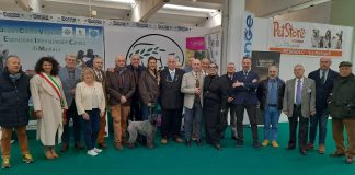 Gonzaga, Barbone grande mole, nero campione assoluto dell’Expo canina 2025
