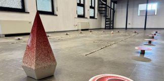 Galleria del Premio Suzzara, parte la stagione delle mostre: il 9 c’è Valentina Palmi