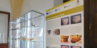 Un viaggio di 9 mila anni: il 30 marzo apre il Museo “Postumiae Antiquarium”