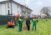 Porto Mantovano, 45 nuove piante nei parchi e nei giardini delle scuole