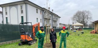 Porto Mantovano, 45 nuove piante nei parchi e nei giardini delle scuole