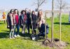 Il Rotary Club Gonzaga – Suzzara dona14 alberi nel parco della scuola “Don Milani”