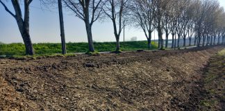 Viadana, partono i lavori della ciclabile in via Al Ponte