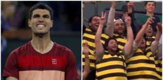 Alcaraz, tifosi speciali a Indian Wells: sugli spalti vestiti da api